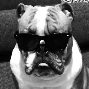 Meet your Posher, Chris